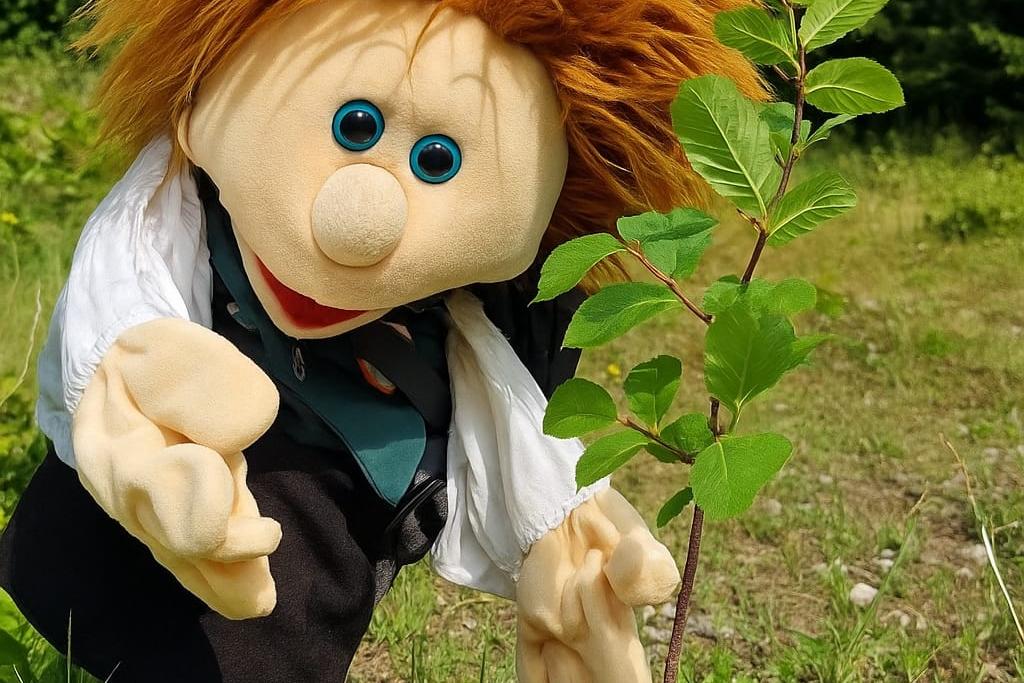 Basti pflanzt Baum